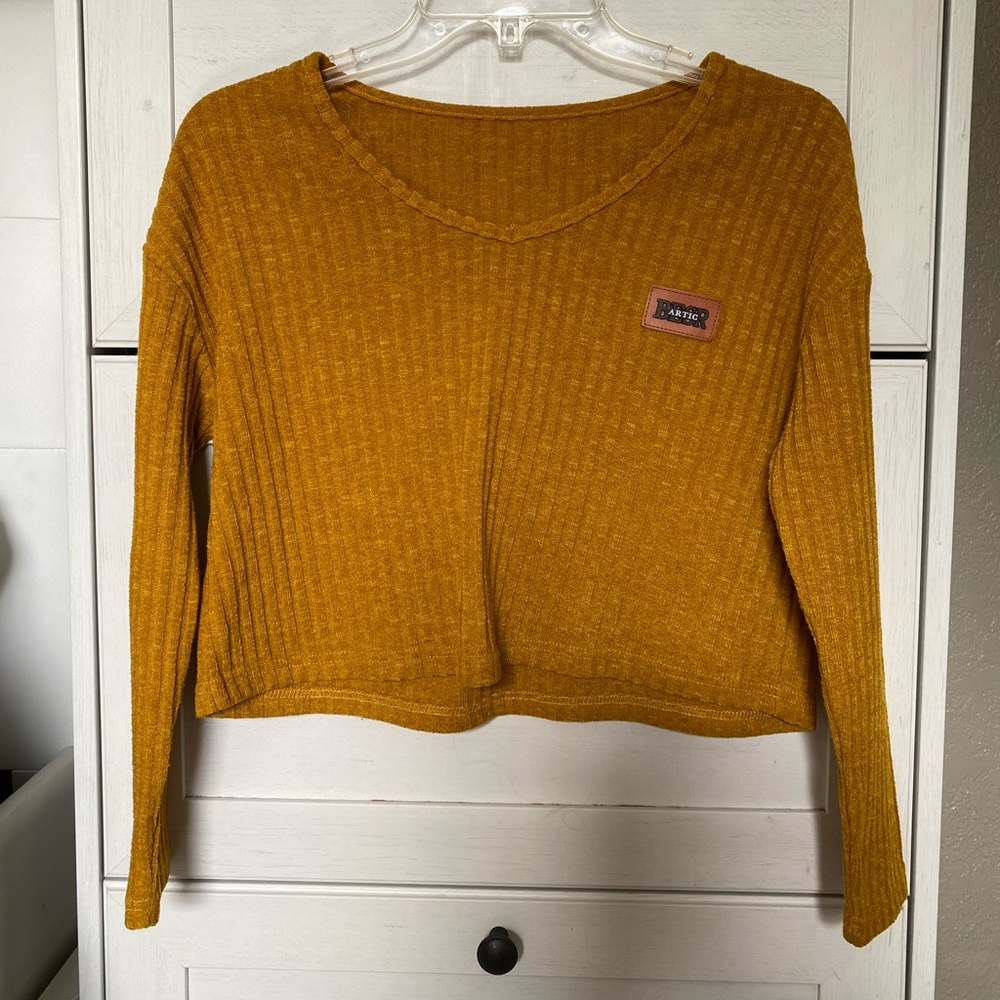 Arctic Bear Rust Crop Sweater